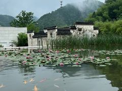 -中国宣纸文化园