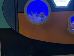 -海合安武汉极地海洋公园