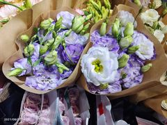 -循礼门鲜花花市(武汉循礼门店)