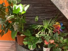 -泰古龙抓龙筋·spa按摩(静安店)