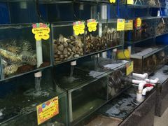 -蚝专家(北滘店)