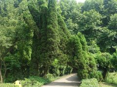 -贵阳市花溪国家城市湿地公园