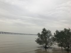 -宝安西湾红树林湿地公园