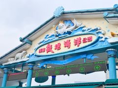 -海合安成都极地海洋公园