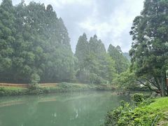 -玉苍山国家森林公园