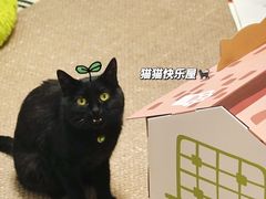 -眷茶(大卫城10楼店)