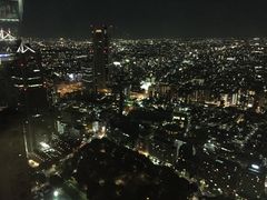 -东京都厅舍