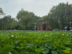 -四川大学(望江校区)