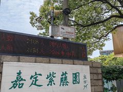 -嘉定紫藤园