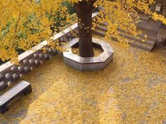 -青岛崂山太清宫