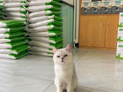 -中农大我爱我爱动物医院·核磁CT·猫病·24小时夜诊中心(石佛营店)