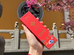 -杭州上天竺法喜讲寺