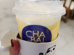 -茶百道(SKLP新光里+店)