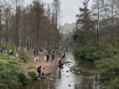 -重庆彩云湖湿地公园