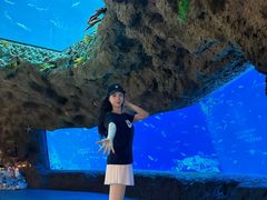 -南昌融创海世界