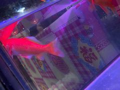 -粗粮人家·东北菜(洋桥店)