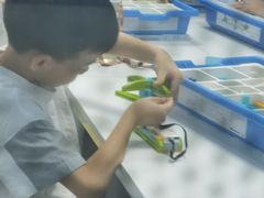 -童程童美·信息学竞赛·机器人编程·少儿编程(太阳宫校区)