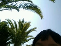 -五甲塘生态湿地公园