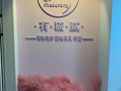 -喵宠乐园·撸猫互动·猫舍