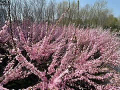 -白塘生态植物园