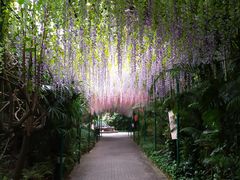 -嘉和K6温泉微度假