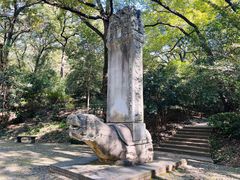 -灵谷景区
