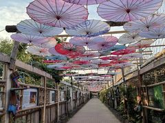 -呀路古热带植物园