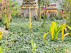 -南宫五洲植物乐园