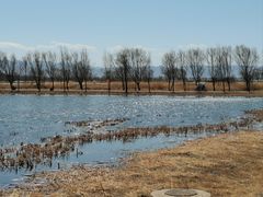 -野鸭湖国家湿地公园