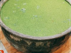-813芭依珊 BAESAn(皇冠十畝地店)