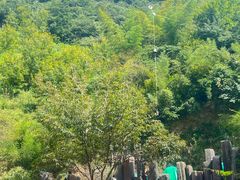 -将军关探险漂流