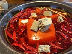 -蜀大侠火锅(总府路店)