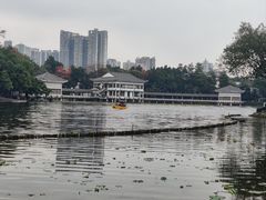 -荔湾湖公园