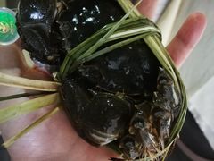 -蟹状元大闸蟹·年货·粽子(成都成华店)