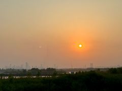 -合肥滨湖国家森林公园