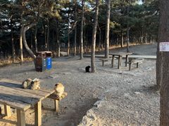 -北京西山国家森林公园