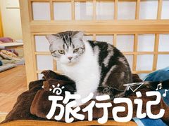 -小时光咖啡馆(开森度假森林店)