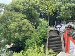 -孤山景区-孤山寺