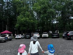 -东明山森林公园