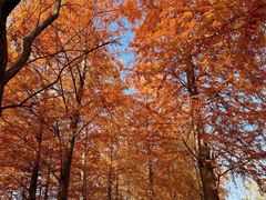 -梁鸿国家湿地公园