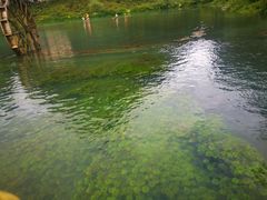 -靖西鹅泉风景区