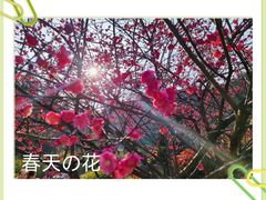 -贵阳市花溪国家城市湿地公园