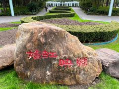 -新虹桥中心花园