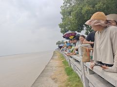 -观潮胜地公园