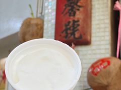 -洪馨椰子