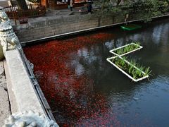 景点-普陀山风景名胜区-法雨禅寺