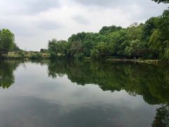 -邓小平故里