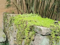 -法云古村
