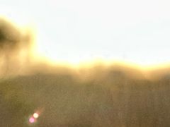 -花环泰拳·勒德斯拉泰拳馆(静安店)