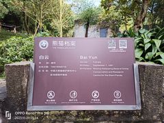 -都江堰中华大熊猫苑